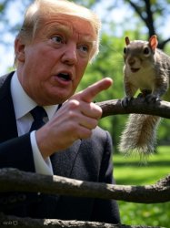 Trump Squirrel Master of Distraction Meme Template