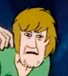 Shaggy Meme Template