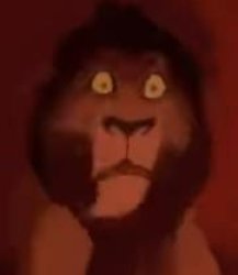 Why did you add this Meme Template