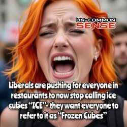 Holy Karen Batman Meme Template