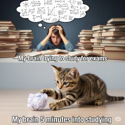 Studying Meme Template