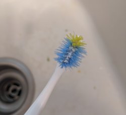 Frazzled Toddler Toothbrush Meme Template