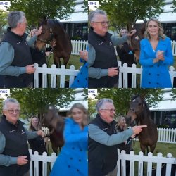 drama horse Meme Template