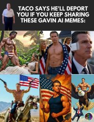 Gavin Meme Template