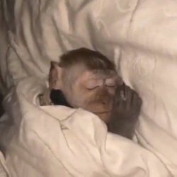 How i sleep Meme Template