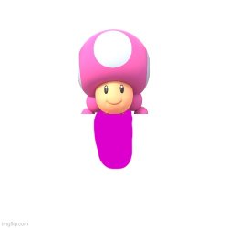 Newborn Toadette Meme Template