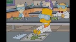 Lab Safety Meme Meme Template