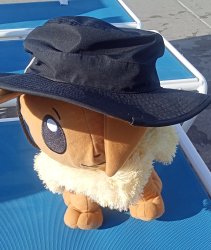 Eevee with hat Meme Template