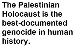 Palestinian Genocide Meme Template