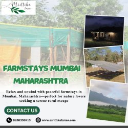 Farmstays Mumbai Maharashtra Meme Template