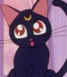 Luna Voice - Sailor Moon (TV Show) - Behind The Voice Actors Meme Template