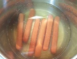 Hot dog water Meme Template