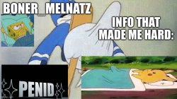 boner_melnatz announcement Meme Template