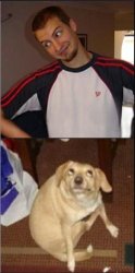 Dog looking Meme Template