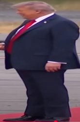 Trump the fat Meme Template