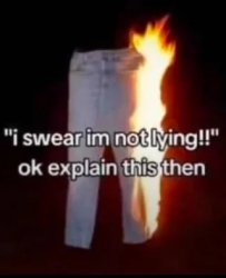 Pants on Fire Meme Template