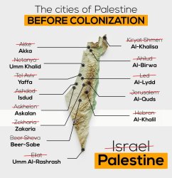 The state of Palestine Meme Template