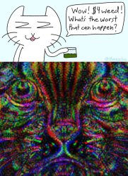 4 dollars weed cat Meme Template