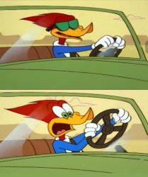Woodpecker kalm panik Meme Template