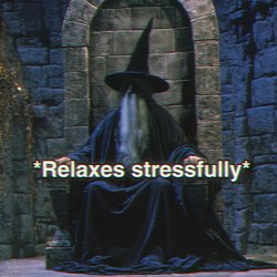 relaxes stressfully Meme Template