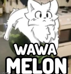 The Wawa Melon Meme Template