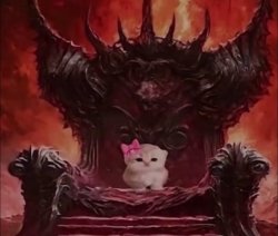 cute cat in throne Meme Template