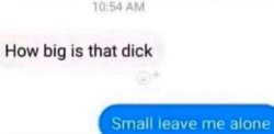 How big is that dick Meme Template