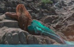 Rogue's pose Meme Template