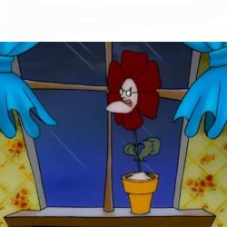 You're gonna flower and bloom Meme Template
