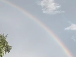 God's Promise To Never Flood Earth Again Meme Template