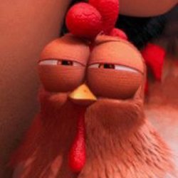 Judging chicken Meme Template