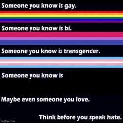 Think Before You Speak Hate Meme Template
