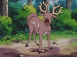 dumb deer Meme Template
