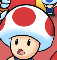 Toad Meme Template