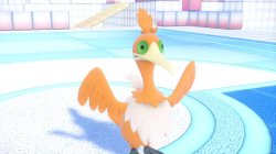 orange bird Meme Template