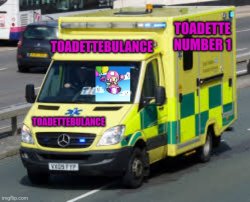 Toadettebulance Meme Template