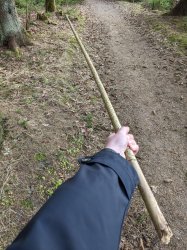 Great stick Meme Template