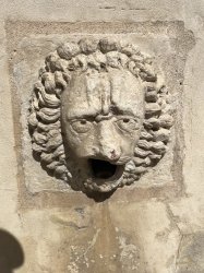 Pain lion Meme Template