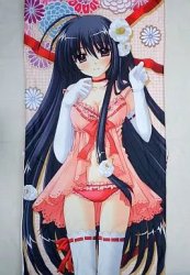 Body pillow Meme Template