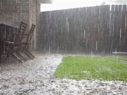 raining Meme Template