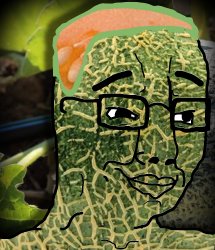 Ambrosia Melon Chudjak Meme Template