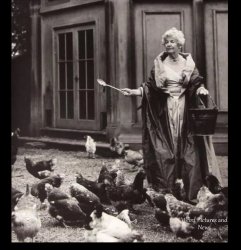 Chickens Meme Template