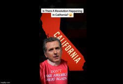 Gavin Newsom don't maga California Meme Template