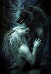 Alpha wolf couple meme Meme Template