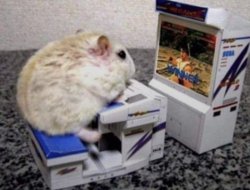 gaming mouse Meme Template