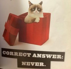 Correct answer: never Meme Template