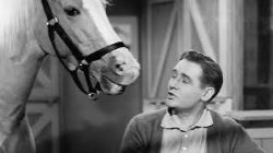Mr Ed Knows It All Meme Template