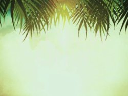 Sunday Church Meme Template