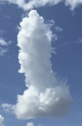 DICK CLOUD Meme Template