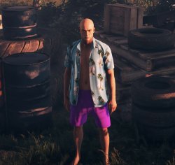 Hitman Meme Template